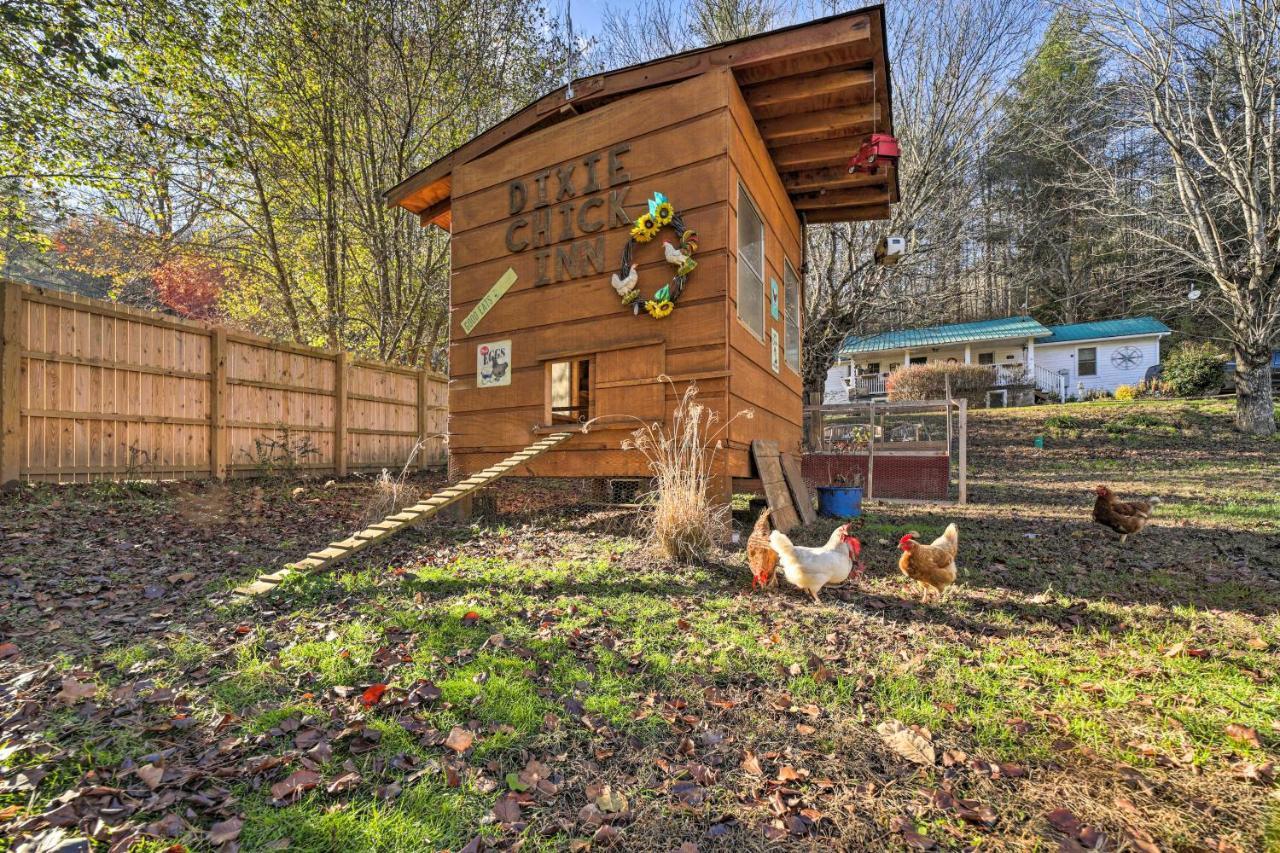 Smoky Mountain Vacation Rental With Hot Tub And Kayaks Whittier 外观 照片